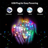 USB Smart Led Copper Wire Fairy String Light Christmas Tree Lights