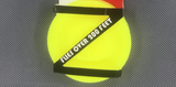 Zip Chip Throwing Disc