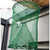 Green Fly Trap Cages