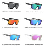 Oversized Polarized Sunglasses/Goggles