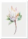 Floral Watercolors 5D Diamond Painting